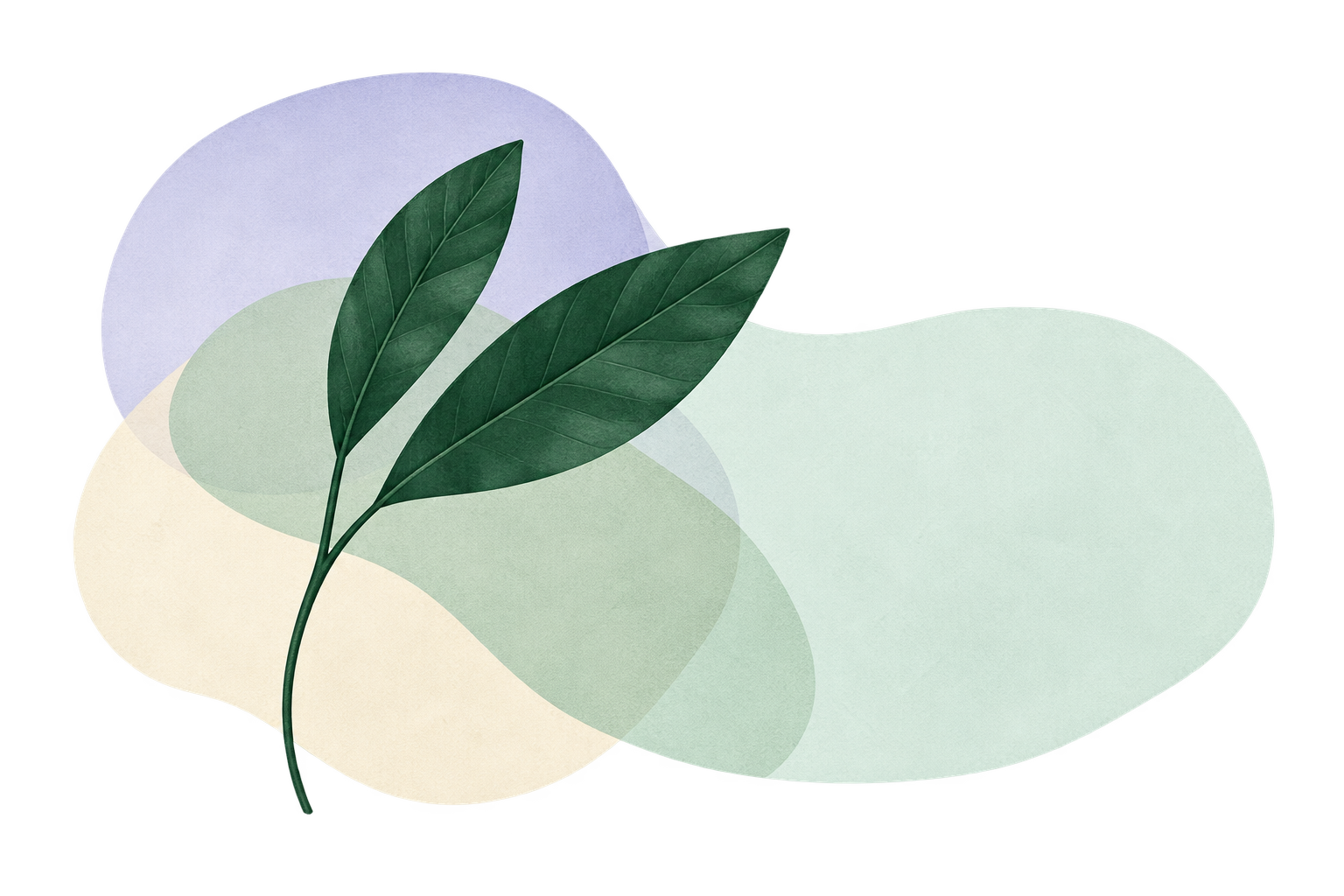 Dekorative Pflanzengrafik